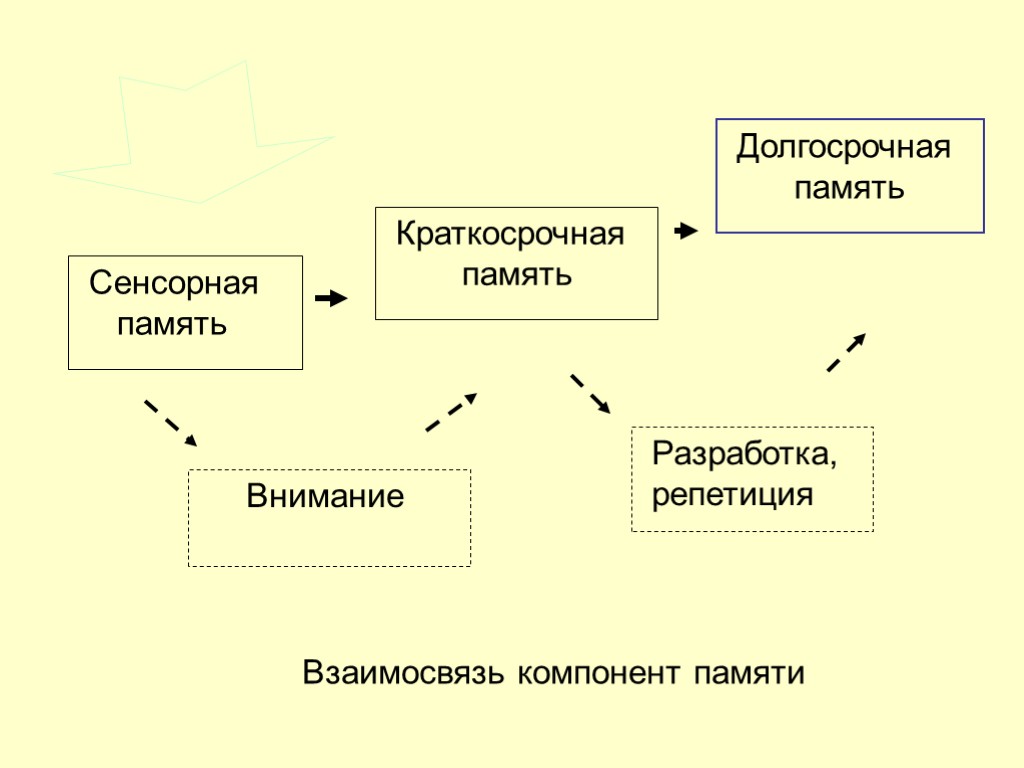 27 Сенсорная память Краткосрочная память Долгосрочная память Внимание Разработка, репетиция Взаимосвязь компонент памяти сигнал